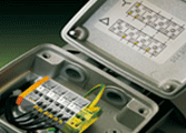 Green Timer
